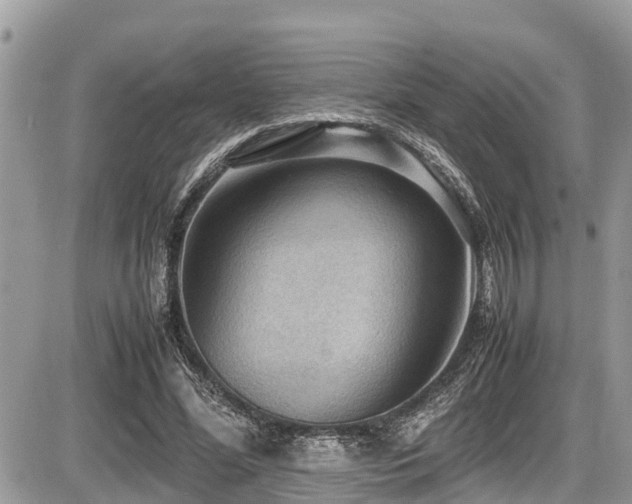 X0000087400588200704201309