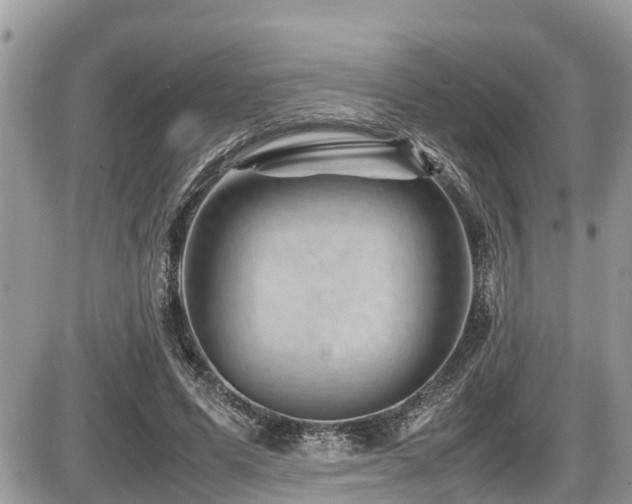 X0000087400591200704201309