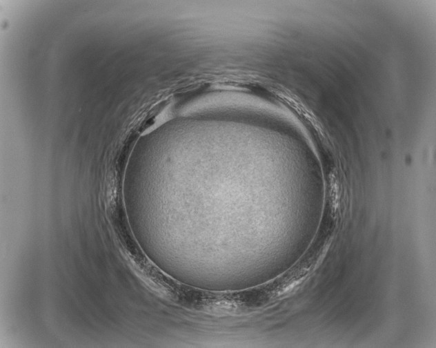 X0000087400593200704201309