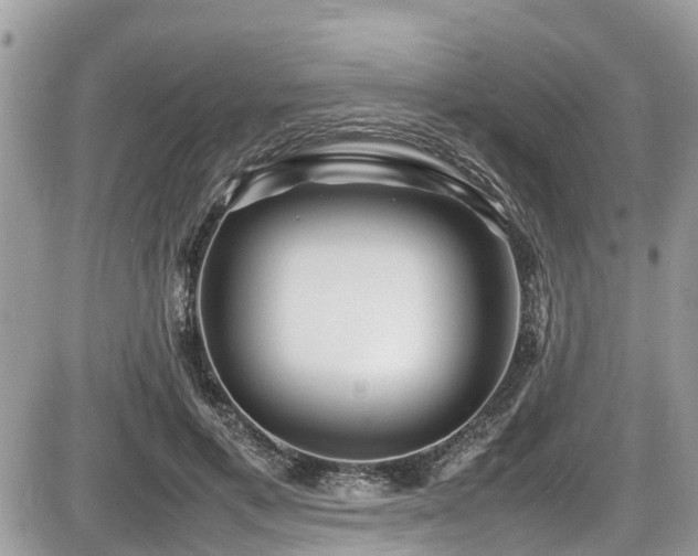 X0000087400597200704201309