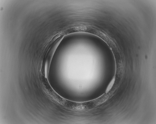 X0000087400600200704201309