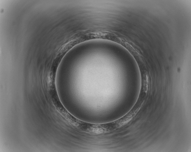 X0000087400608200704201309