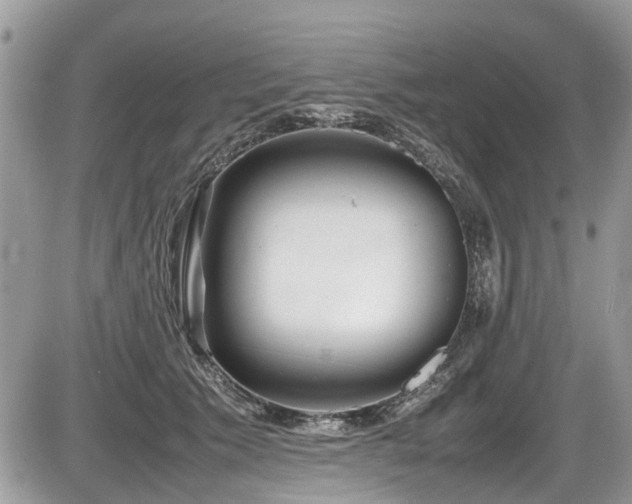 X0000087400609200704201309