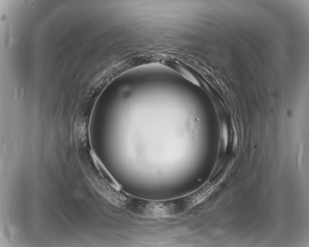 X0000087400613200704201309