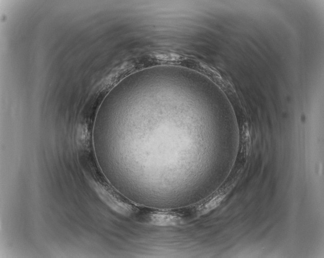 X0000087400614200704201309