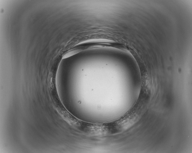 X0000087400615200704201309