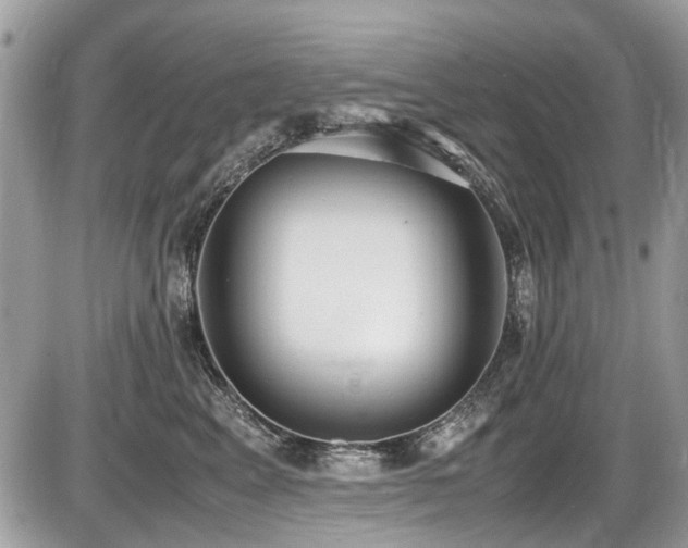X0000087400617200704201309