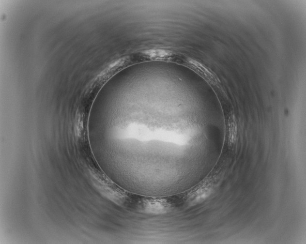 X0000087400618200704201309