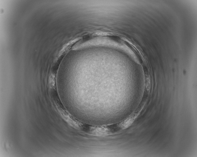 X0000087400621200704201309