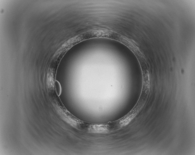 X0000087400622200704201309