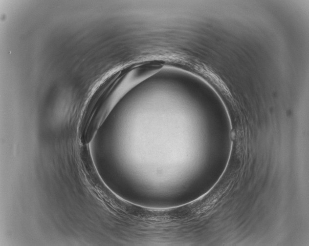 X0000087400628200704201308