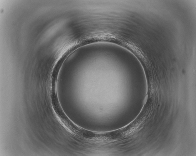 X0000087400630200704201308