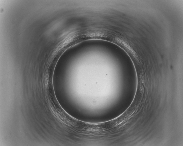X0000087400631200704201308