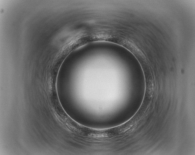 X0000087400639200704201308