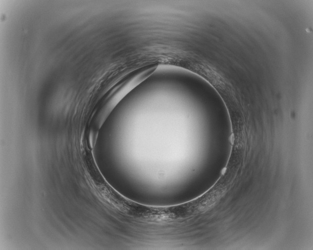 X0000087400646200704201308