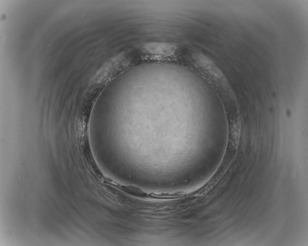 X0000087400657200704201308
