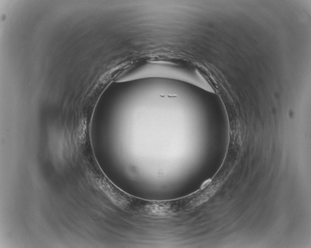 X0000087400660200704201309