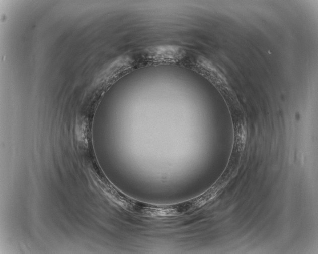X0000087400663200704201309