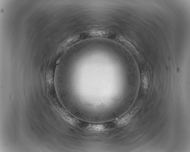 X0000087400665200704201309