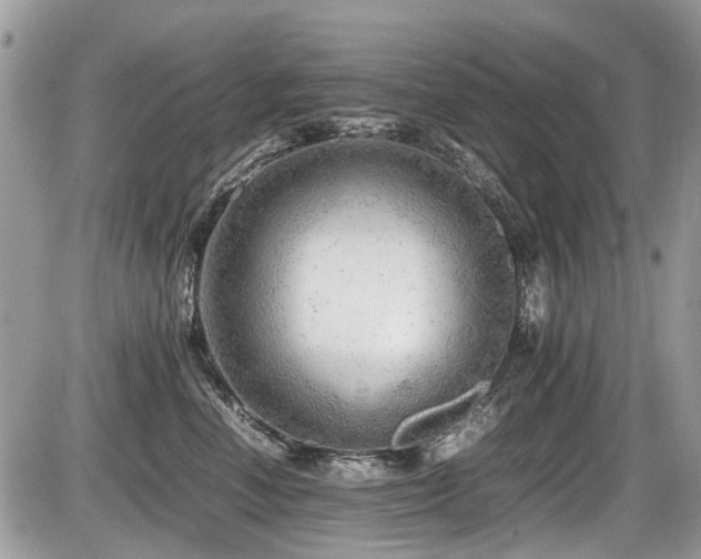 X0000087400666200704201309