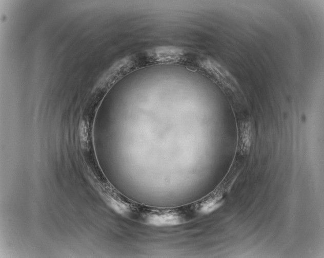 X0000087400667200704201309