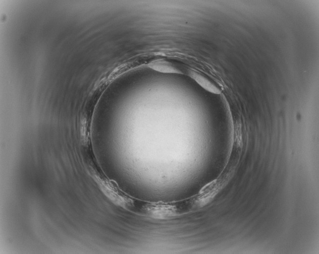 X0000087400670200704201309