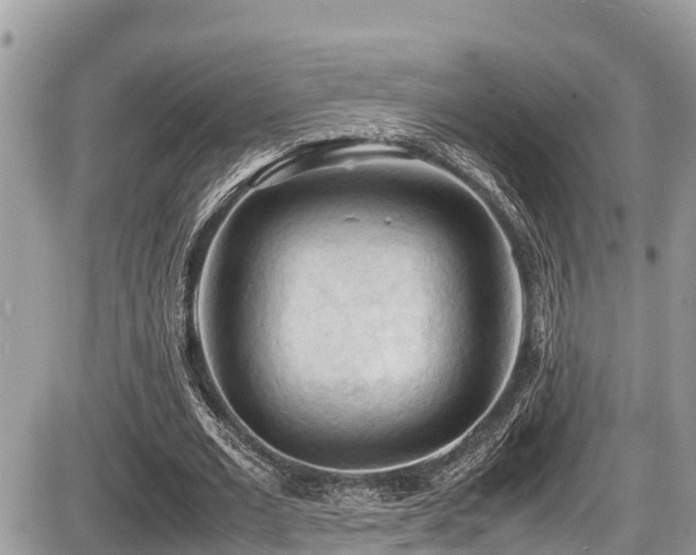 X0000087400677200704201308
