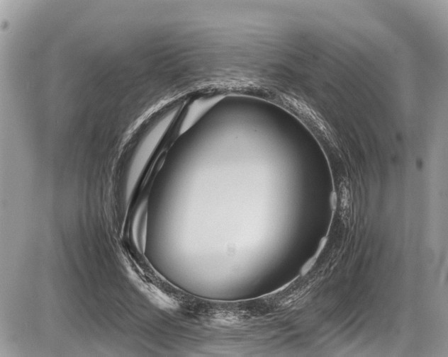 X0000087400684200704201308