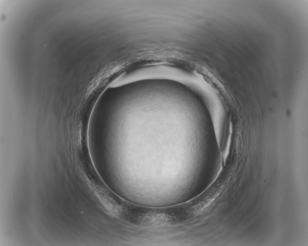 X0000087400685200704201308