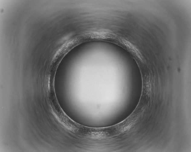 X0000087400686200704201308