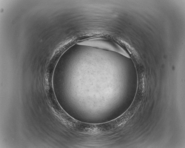 X0000087400688200704201308