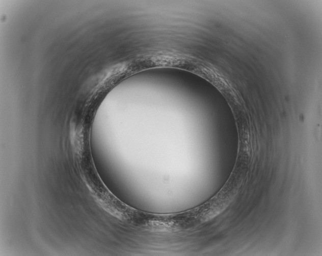 X0000087400690200704201308