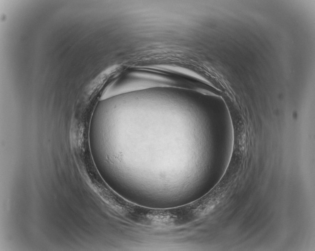 X0000087400693200704201308