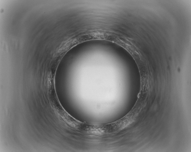X0000087400702200704201307