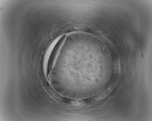 X0000087400703200704201307