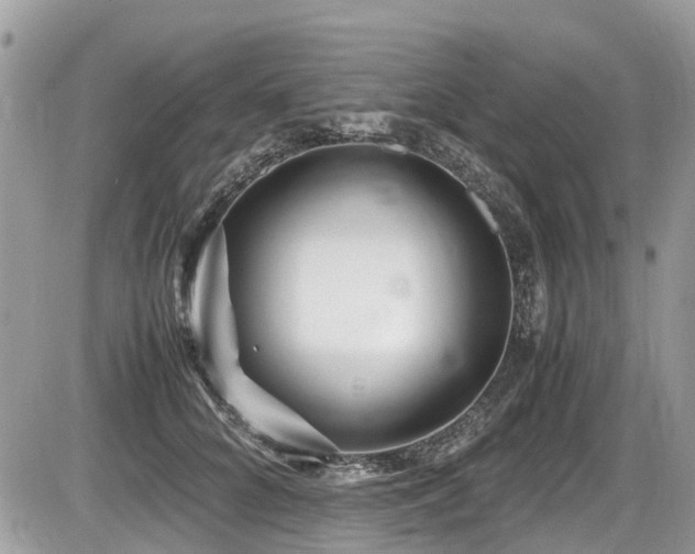 X0000087400704200704201307