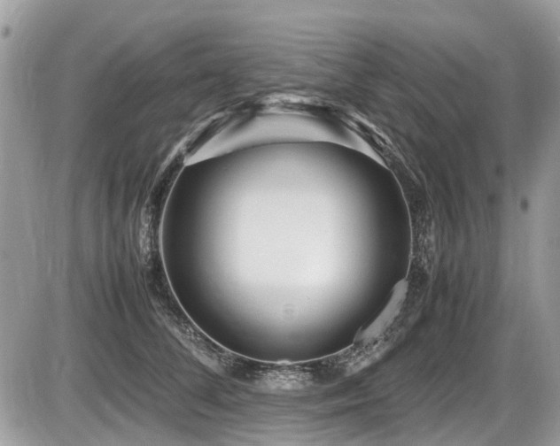 X0000087400708200704201307