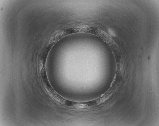 X0000087400711200704201307