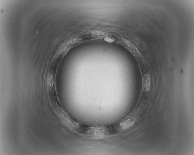 X0000087400713200704201307