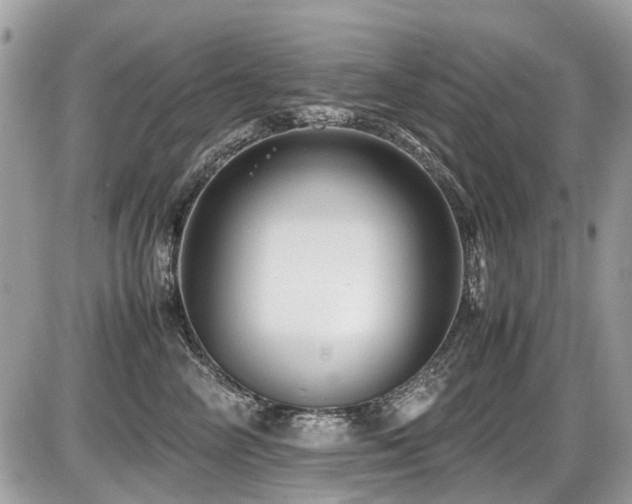 X0000087400714200704201307