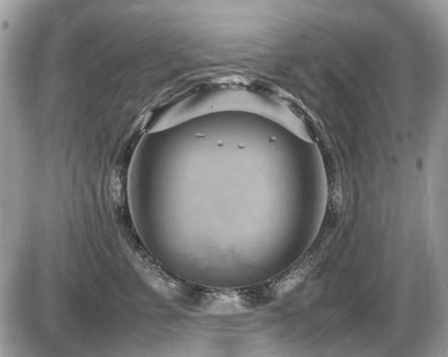 X0000087400715200704201307