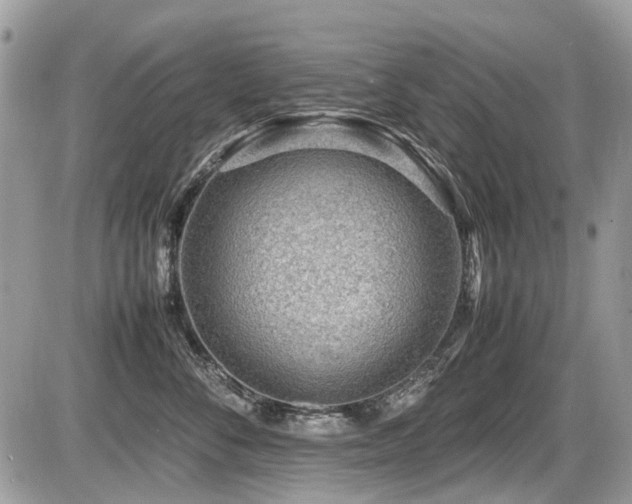 X0000087400716200704201307