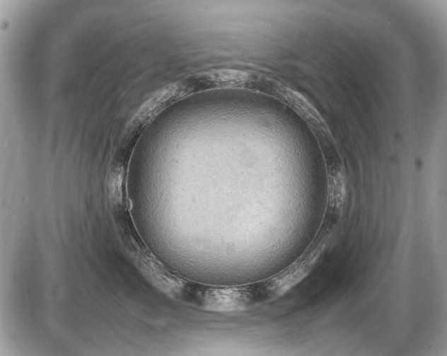 X0000087400717200704201307