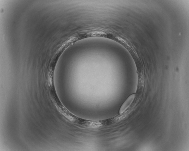 X0000087400719200704201307