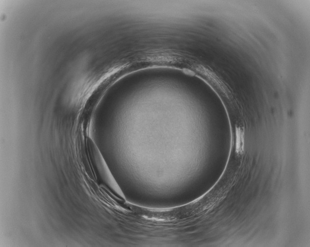 X0000087400723200704201306