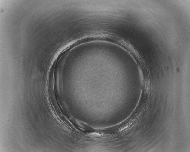 X0000087400724200704201306