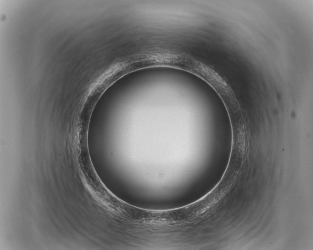 X0000087400730200704201307