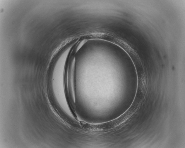 X0000087400734200704201307