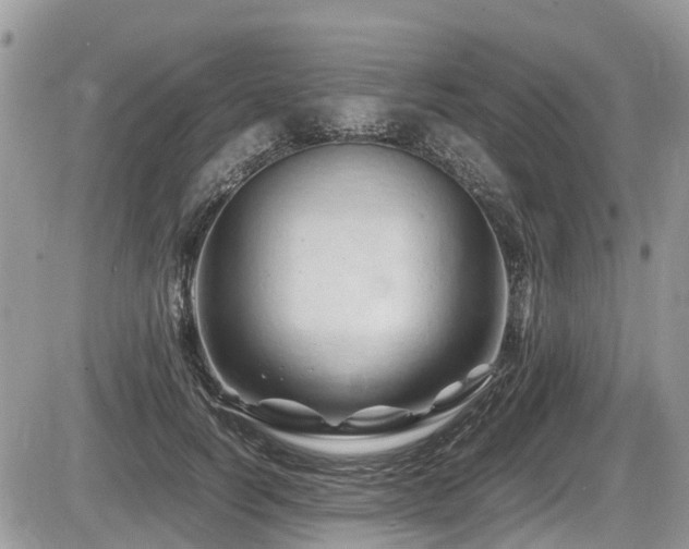 X0000087400746200704201307