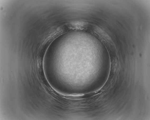 X0000087400747200704201307